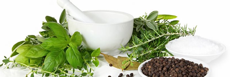 Usos e benefícios das ervas e plantas medicinais