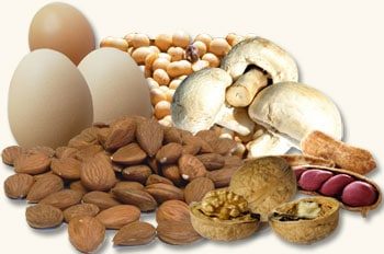 Os alimentos mais ricos em proteínas