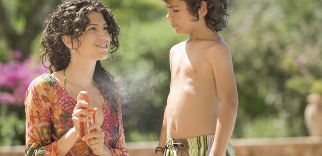 Repelentes caseiros contra mosquitos