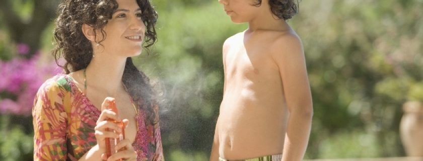 Repelentes caseiros contra mosquitos