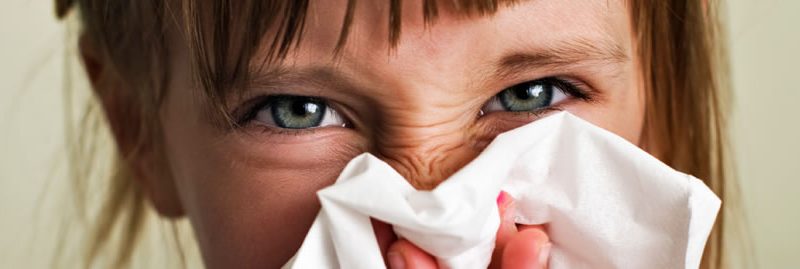 8 remédios contra alergias respiratórias