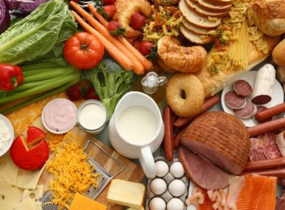 Proteína animal ou vegetal ?