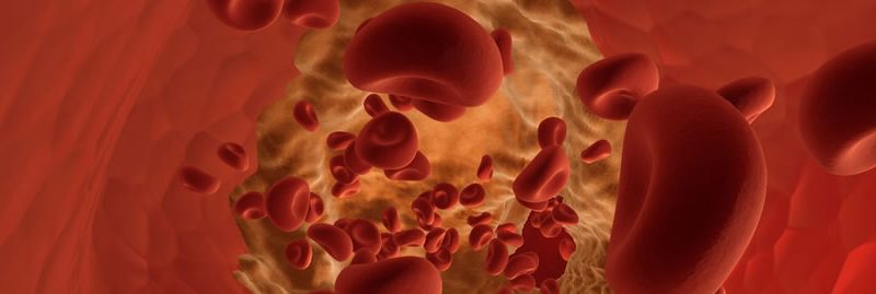 Dicas de como aumentar a hemoglobina