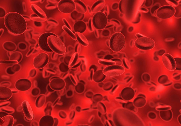 dicas de como aumentar a hemoglobina