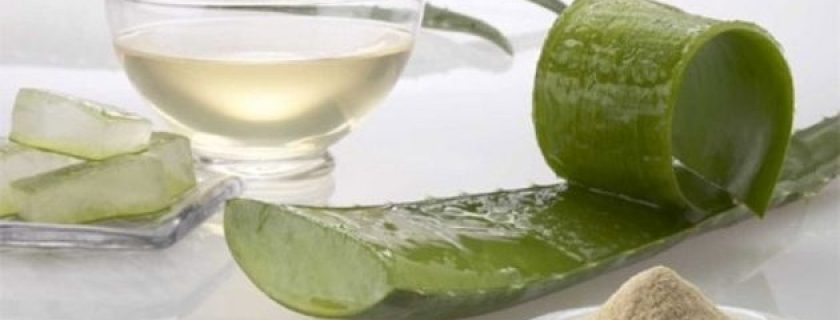 Benefícios do suco de Aloe Vera