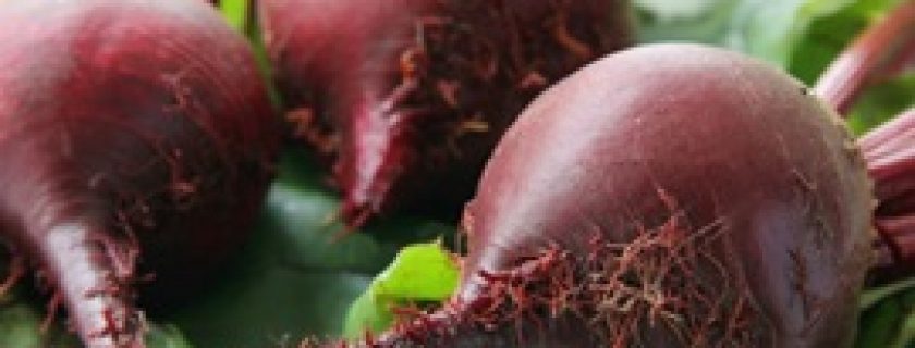 Beterraba: Cozida ou em forma de suco?