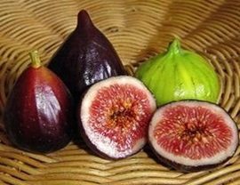 Figos: Bons expectorantes!