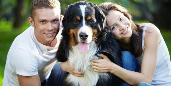 Pessoas com animais de estimação tem uma melhor vida física e mental