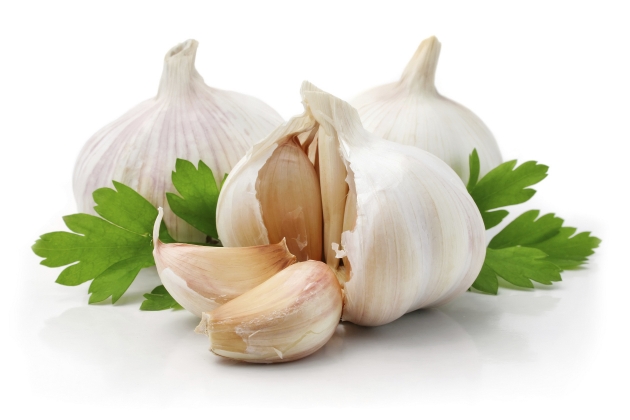 como tratar a mastite de uma forma natural Como tratar a mastite de uma forma natural