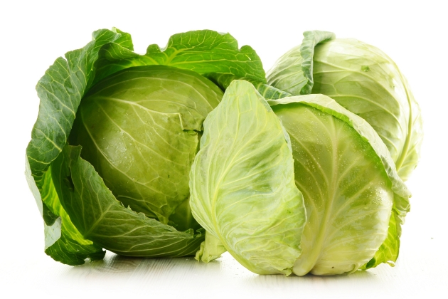 como tratar a mastite de uma forma natural Como tratar a mastite de uma forma natural