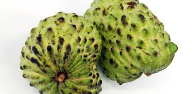 Receitas caseiras com graviola
