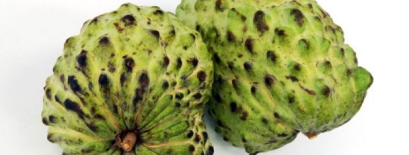 Receitas caseiras com graviola