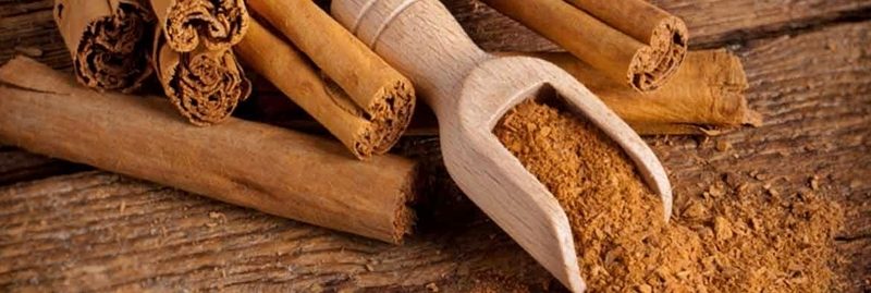 Contra indicações da canela