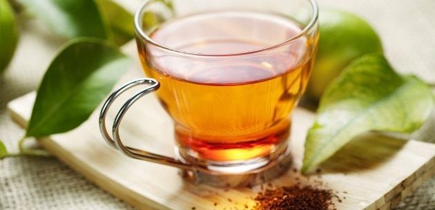 Propriedades curativas do chá de rooibos