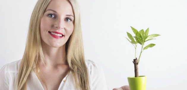 Propriedades dos alimentos germinados