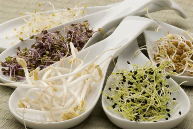 propriedades-dos-alimentos-germinados