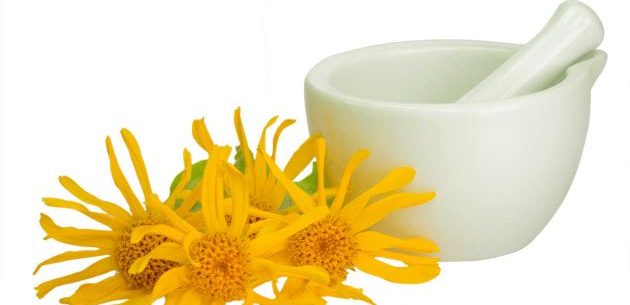 Propriedades da arnica