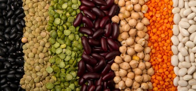 Alimentos que ajudam a manter o pâncreas saudável