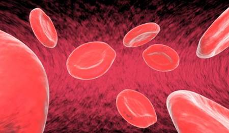 combater a anemia capa