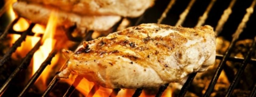 Todos os nutrientes do frango