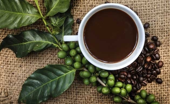 Emagreça com o café verde-2