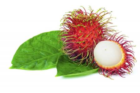 beneficios do rambutão 1