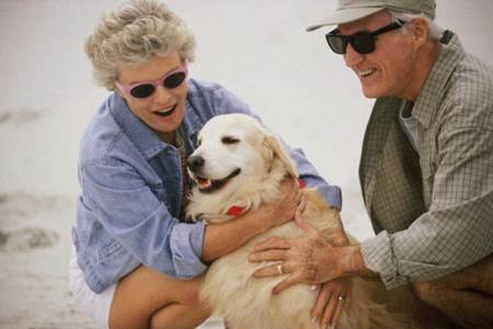 terapia com cães 3