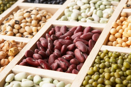 O teor de proteína de vários legumes