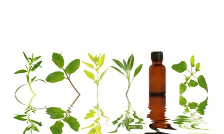 Desodorante de bergamota e menta