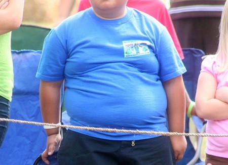 Períodos em que há um risco maior em desenvolver a obesidade infantil