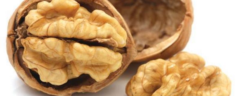 Os melhores alimentos para memória