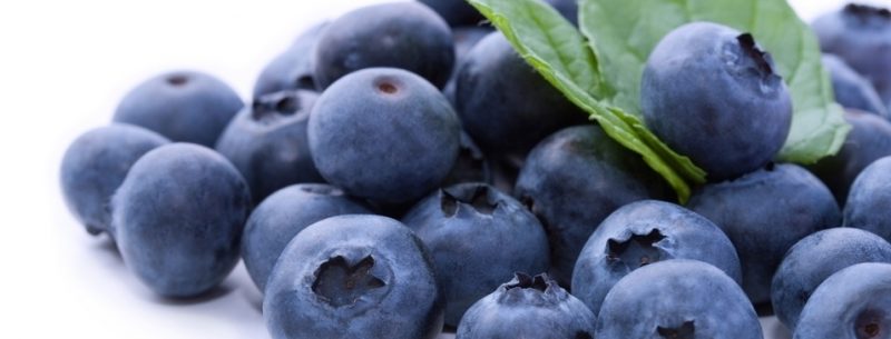 5 Razões para consumir mirtilos