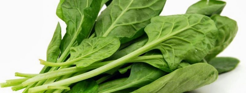 6 poderosos alimentos para combater a anemia