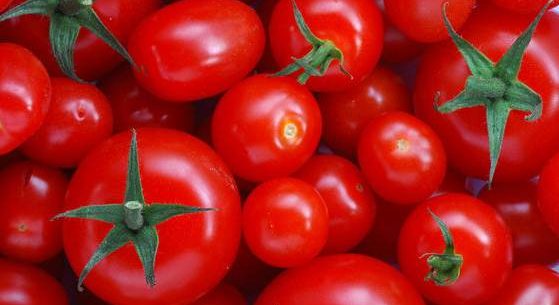 7 alimentos poderosos para prevenir o câncer