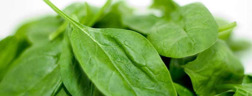 4 super alimentos para cuidar da saúde do pâncreas