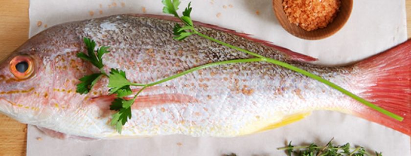 Peixe: um poderoso alimento contra a osteoporose