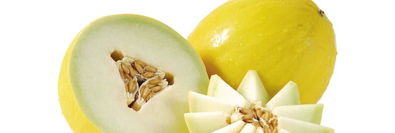 Verão: as melhores frutas para se manter hidratado
