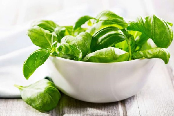 Alimentos alcalinos para manter o corpo em equilíbrio-7
