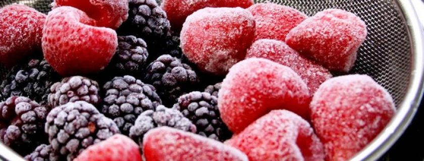 Alimentos processados: por que devemos consumí-los?