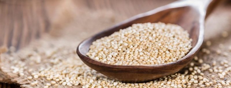 Quinoa: benefícios desse super alimento para a saúde