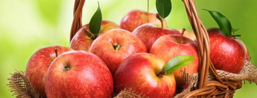 Maçã: benefícios dessa poderosa fruta para o nosso organismo