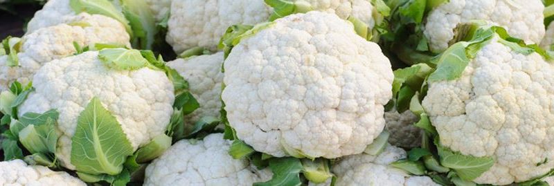 Couve-flor: um alimento com inúmeros benefícios