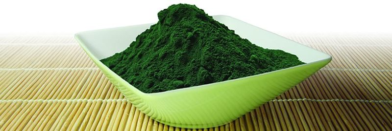 Os benefícios da Spirulina para a saúde