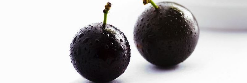 Propriedades e benefícios da jabuticaba para a saúde