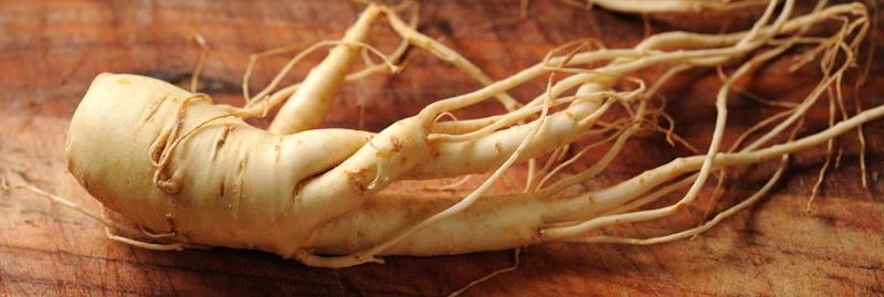 Propriedades, benefícios e contra-indicações do ginseng