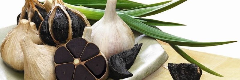 Alho negro: um alimento ainda mais poderoso que o alho comum