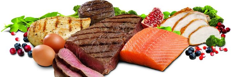 Por que devemos adicionar mais proteínas em nossa dieta?
