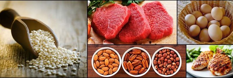 Proteínas: fontes, funções e sintomas de sua deficiência