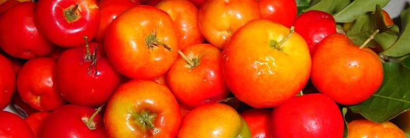 6 incríveis benefícios e propriedades da acerola para a saúde