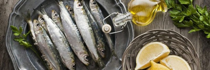 11 benefícios da anchova para a nossa saúde